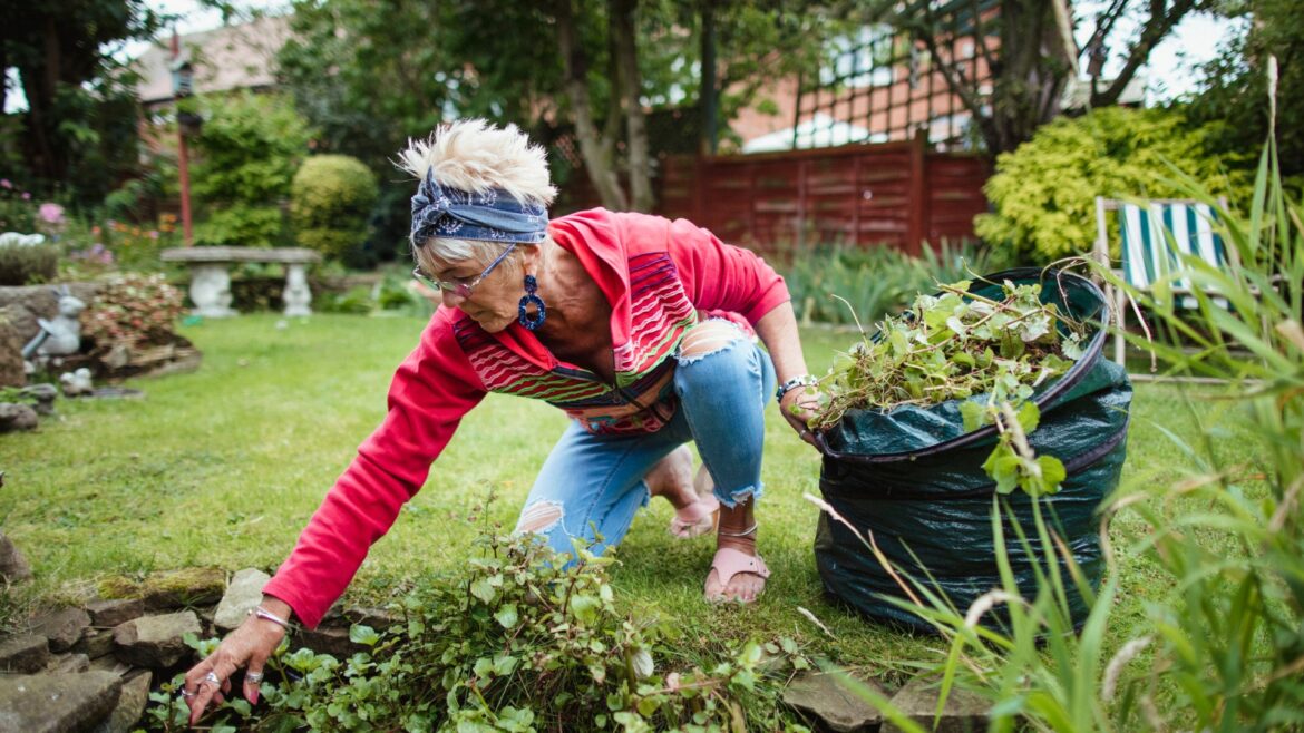 Amazon gadget gardeners are calling a ‘weeding game-changer’ – it’s easy to use, saves your back & they won’t grow again Amazon gadget gardeners are calling a 'weeding game-changer' - it's easy to use, saves your back & they won't grow again