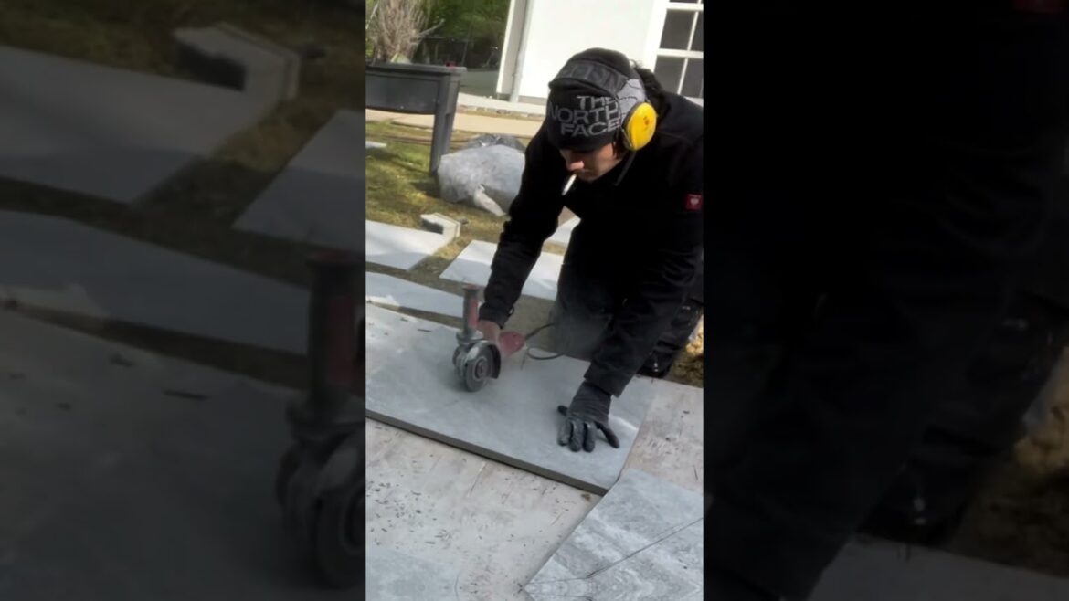 New Project Day 5 #backyard #garden #gardening #gardenlife