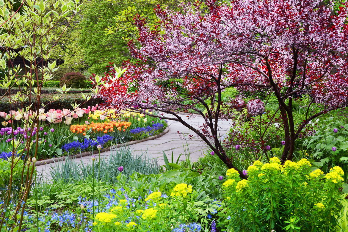 Free Senior Portraits in Central Park’s Conservatory Garden