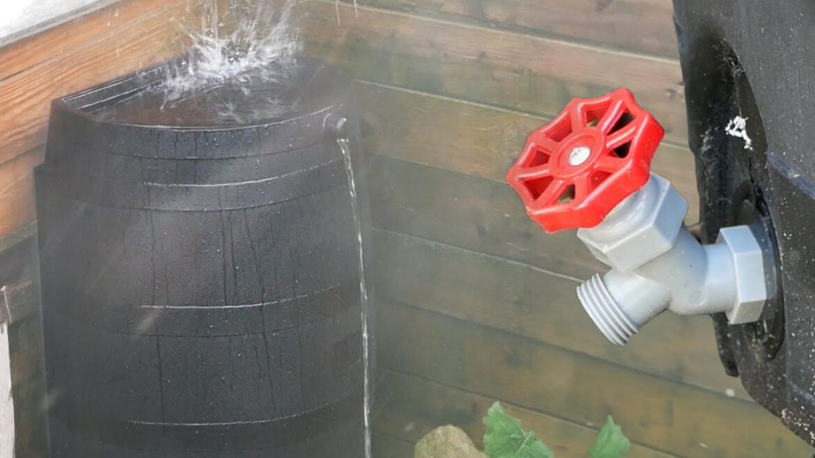 RTS Home Accents 50 Gallon Rain Barrel w/ Spigot – Unboxing & Review RTS Home Accents 50 Gallon Rain Barrel w/ Spigot - Unboxing & Review