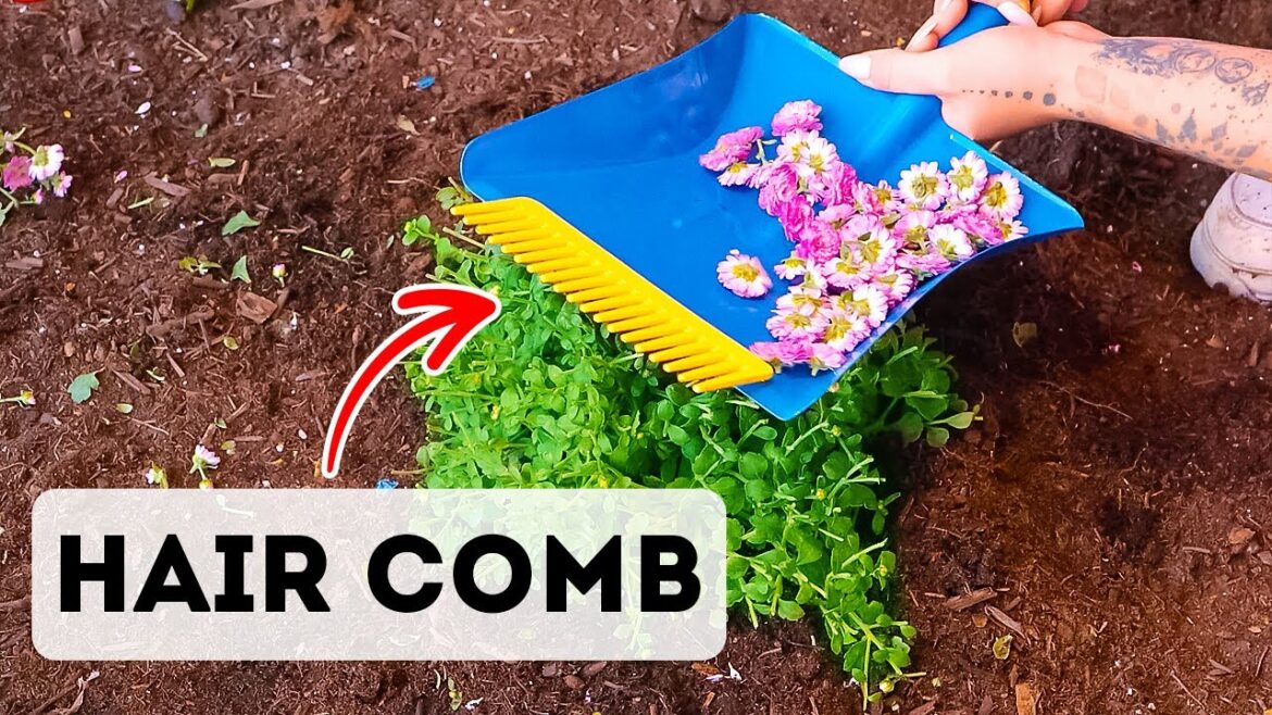 DIY Garden Secrets: Tricks You Didn’t Know You Needed!