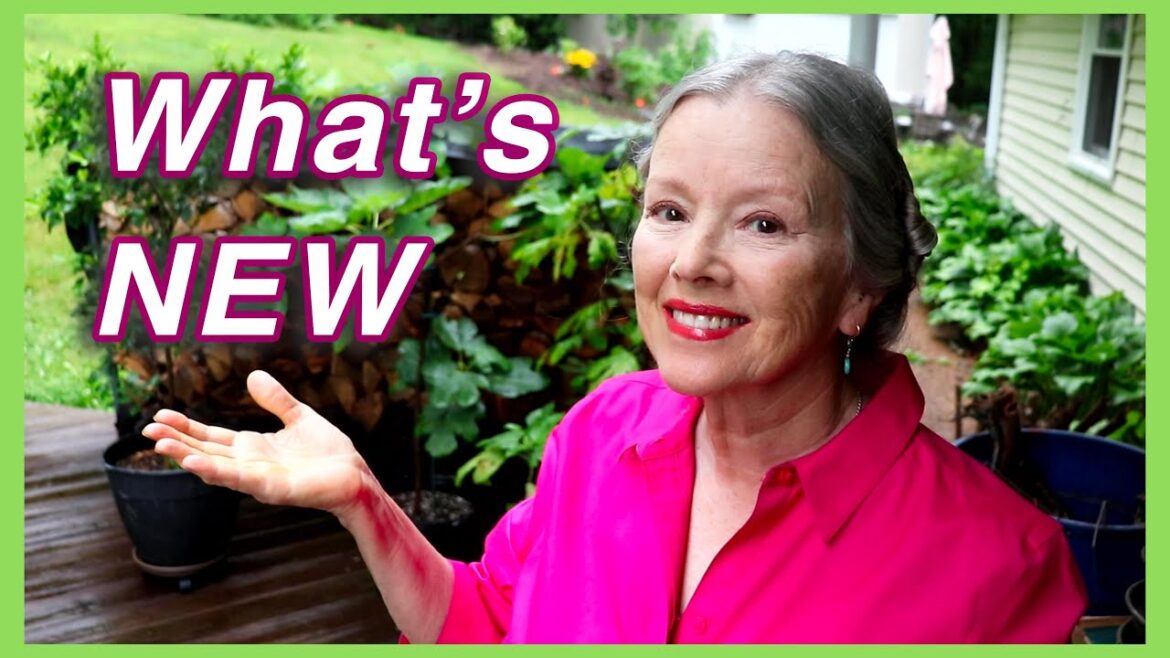 Kaye Kittrell: Mid-June GARDEN TOUR | What’s NEW! Mid-June GARDEN TOUR | What's NEW!