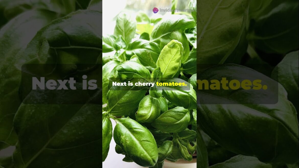 3 Edible Plants That Love the June Heat #GrowYourOwn #ContainerVeggies #SmartGarden #EdibleGarden 3 Edible Plants That Love the June Heat #GrowYourOwn #ContainerVeggies #SmartGarden #EdibleGarden