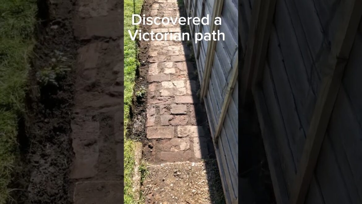 🔎🧱 Discovered a Victorian path. #gardenpath #DIY #gardening #Victorian #brickpath #viralshorts