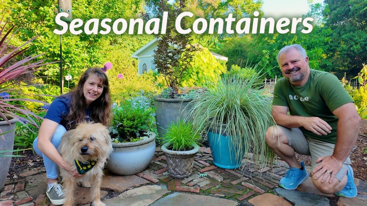 Creative Container Planting