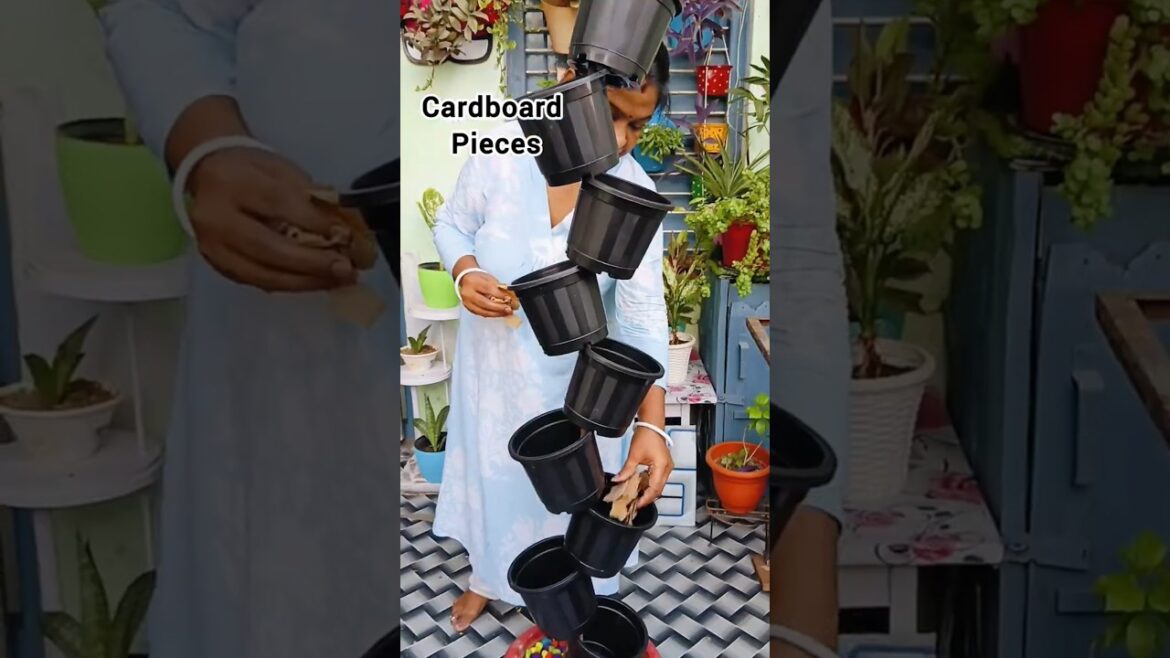 Plant Tower||Vertical Gardening#shorts#garden#yt#youtubeshorts#diy#homedecor#gardendecor#viralshorts Plant Tower||Vertical Gardening#shorts#garden#yt#youtubeshorts#diy#homedecor#gardendecor#viralshorts