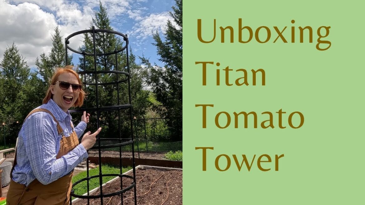 Best Tomato Support for Home Gardeners? Titan Cage Unboxing & First Look Best Tomato Support for Home Gardeners? Titan Cage Unboxing & First Look