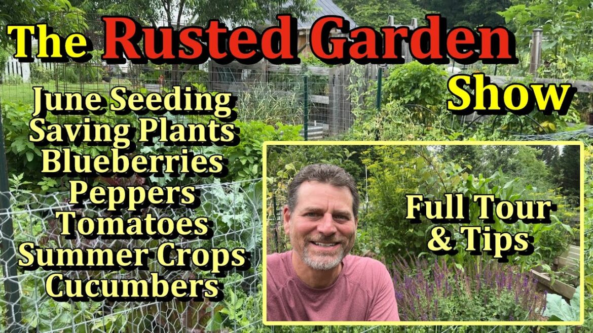June Crops, Tomato, Pepper, Zucchini & Cucumber Tips, Harvesting & More (The Rusted Garden Show E3)