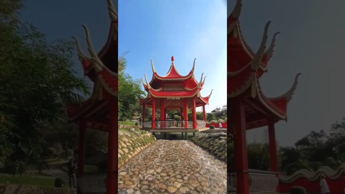 #NARESH DESIGNING VLOGS #japanesegarden #japan #japanese #viralytshorts #ramojifilmcity #ytshorts #