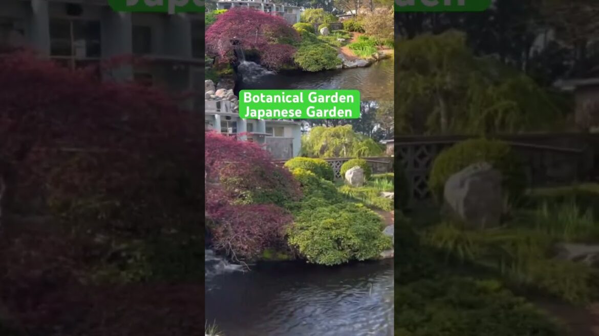 Norfolk Botanical Garden Japanese Garden #shorts #norfolkva #japanesegarden #botanicalgarden #garden