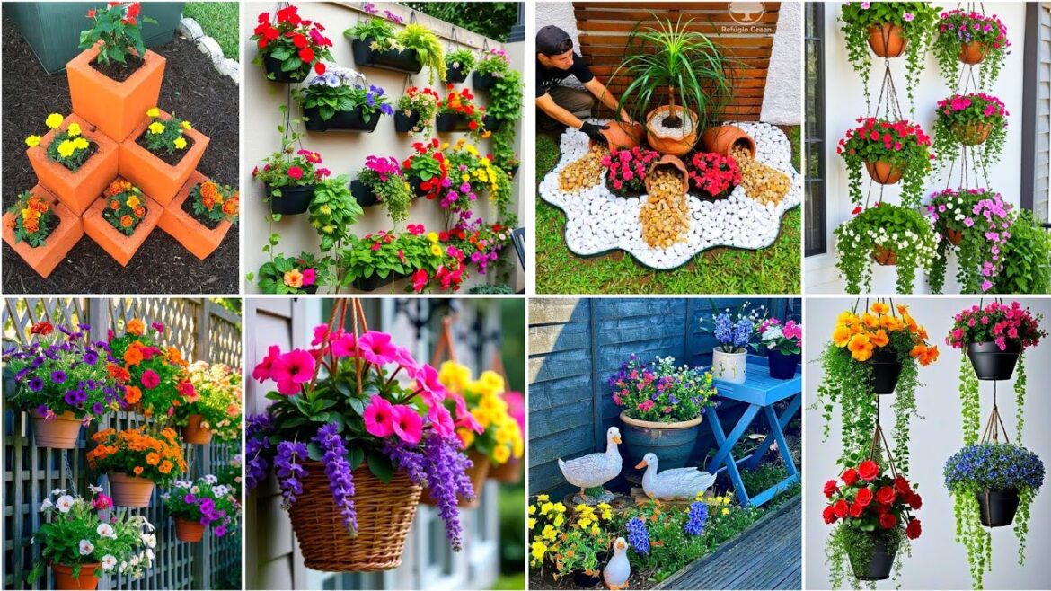 Small Landscape Garden Flowers Decorations Ideas/Flowers Container/Garden Flowers Pots Design Small Landscape Garden Flowers Decorations Ideas/Flowers Container/Garden Flowers Pots Design
