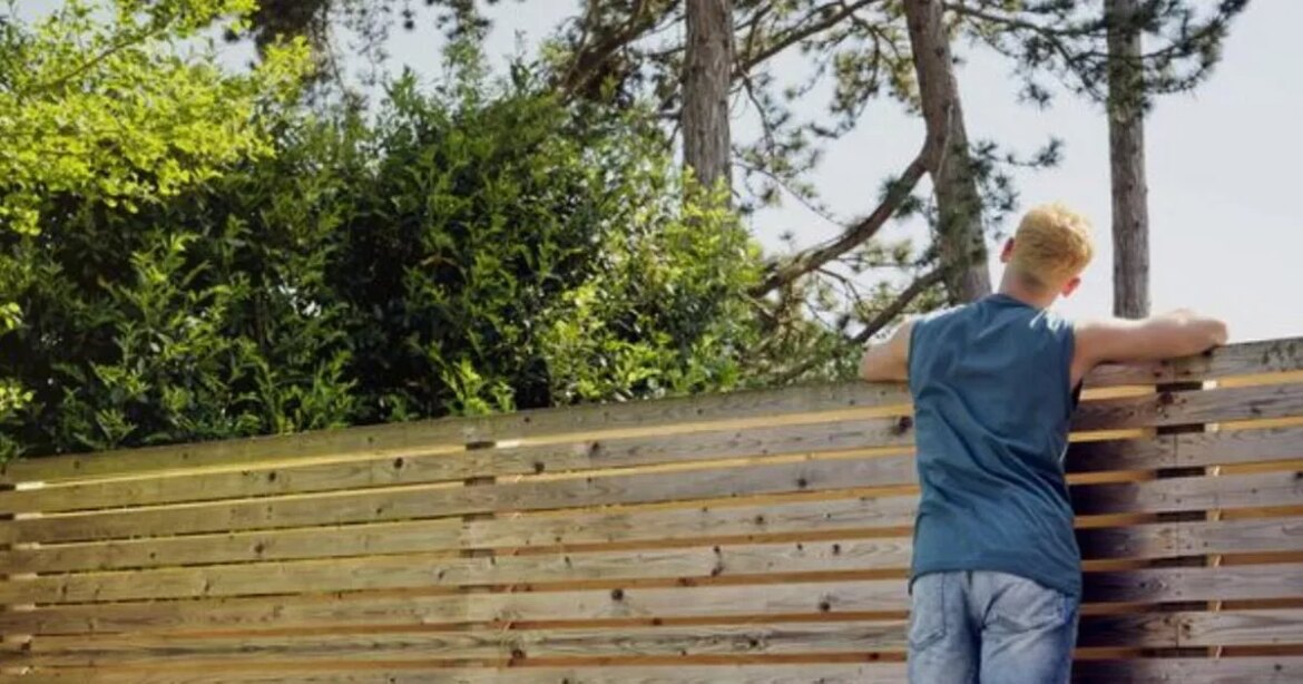 Households with garden fences warned over new £5,000 fines Ipso logo