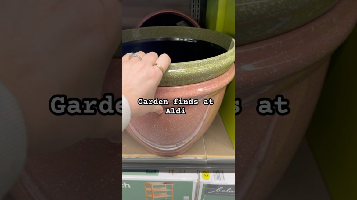 Shopping for garden supplies at Aldi #aldifinds #gardening
