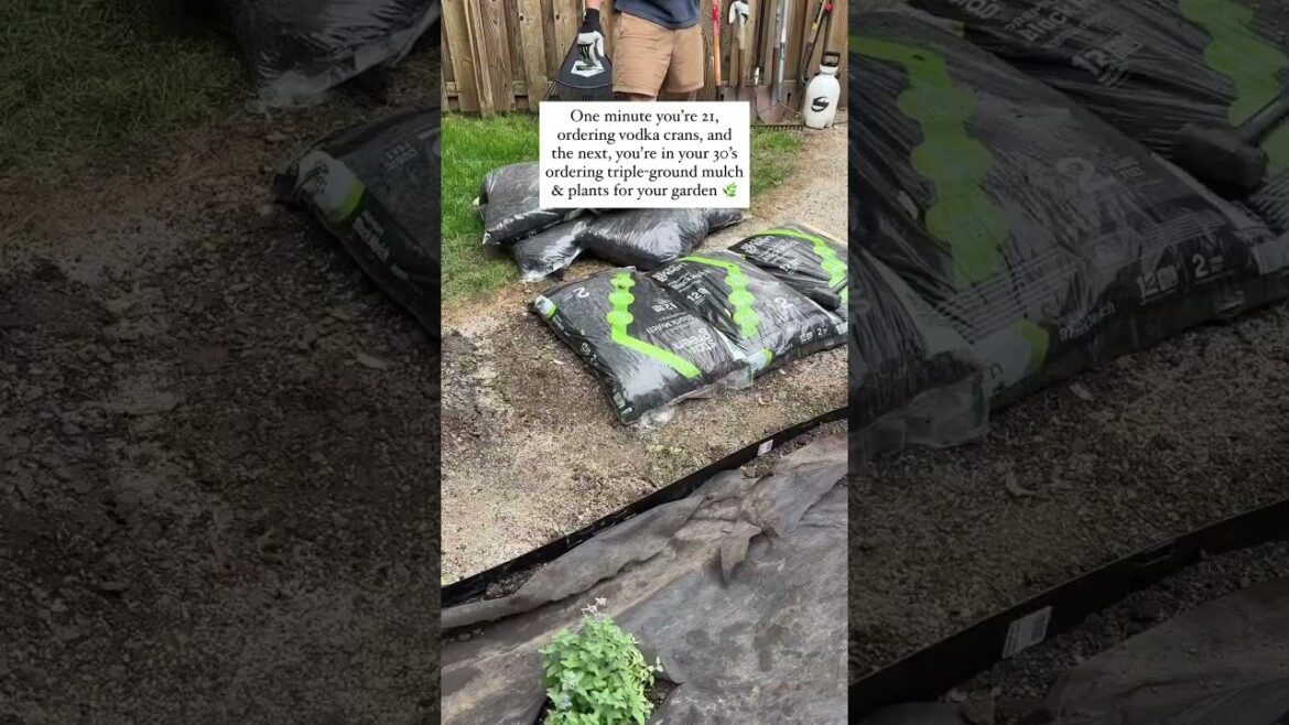 From Vodka Crans to Garden Plans 🍸➡️🌿 | Our 30’s Just Hit Different From Vodka Crans to Garden Plans 🍸➡️🌿 | Our 30's Just Hit Different