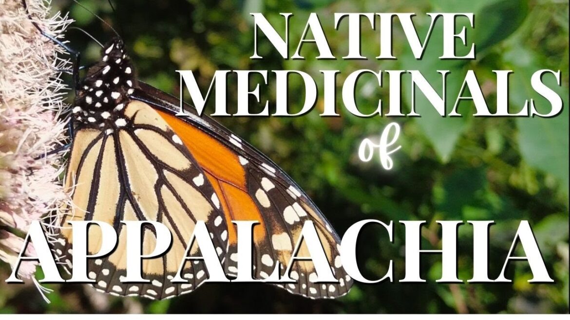 How to Identify Appalachian Medicinal and Edible Plants (with Helen Meadors) How to Identify Appalachian Medicinal and Edible Plants (with Helen Meadors)