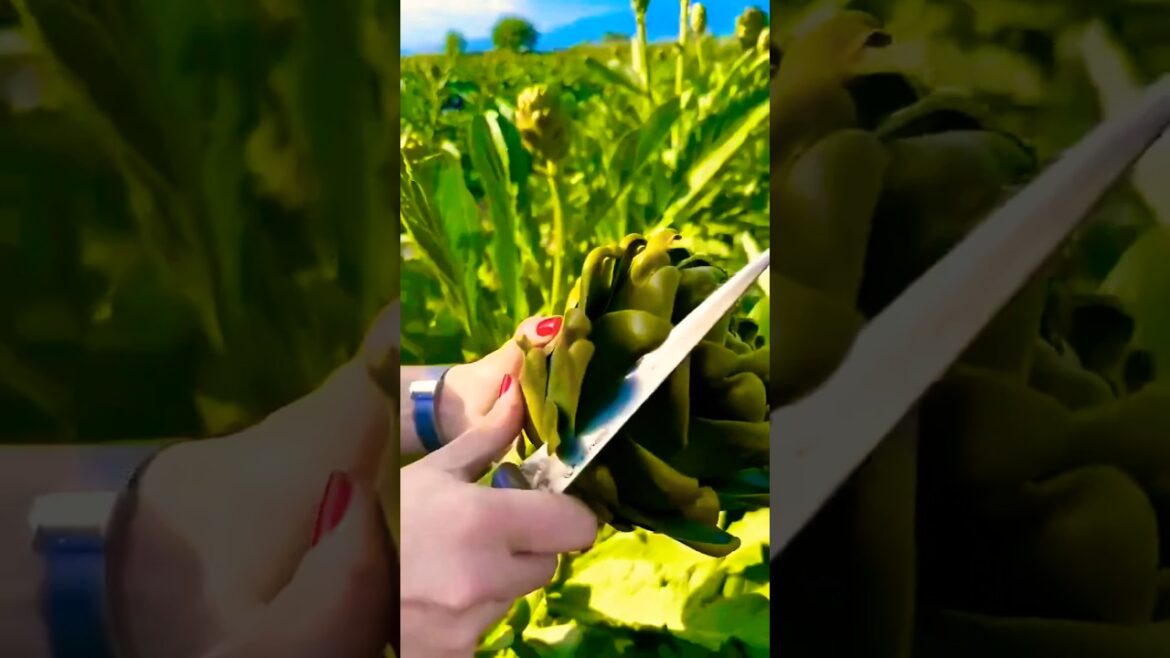 gardening tools #agriculture #shorts