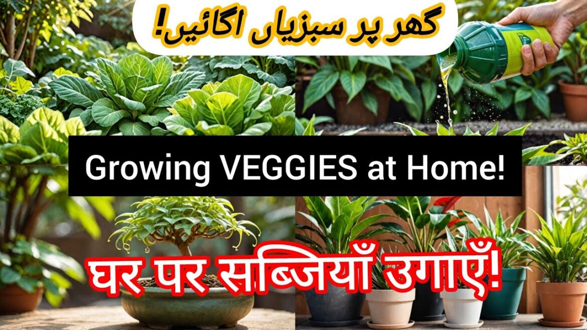 HOUSE PLANTS IDEAS WITH GARDEN | EPIC GARDENING TIPS | BACKYARD GARDEN | Growing VEGGIES at Home!