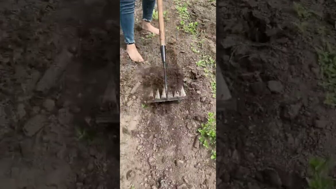 Rural Farmer make hay while the sun shines #13156