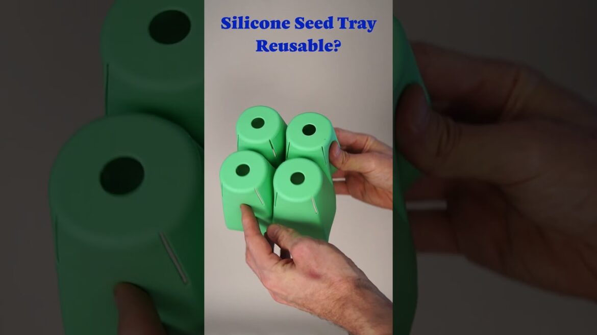Grow from seed with Sili-Seedlings! #gardening #farming #vegetablegarden #organicgardening