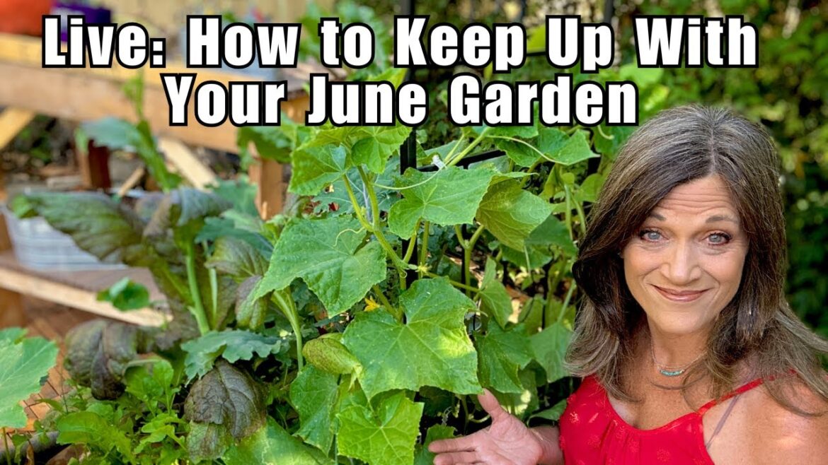 CaliKim: LIVE: How to Keep Up With Your June Garden (Without Losing Your Mind) LIVE: How to Keep Up With Your June Garden (Without Losing Your Mind)