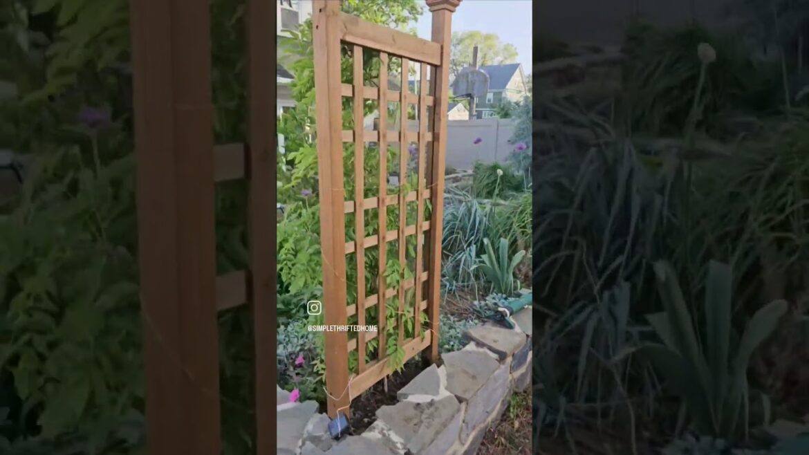 BACKYARD GARDEN MAKEOVER | Raised Stone Garden Beds BACKYARD GARDEN MAKEOVER | Raised Stone Garden Beds