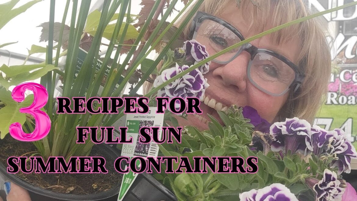 Summer Container Recipes for Full Sun Summer Container Recipes for Full Sun