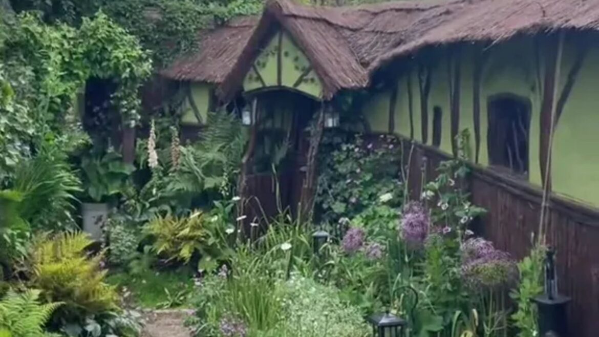 My parents transformed their council estate garden into a paradise, folk say it should be in the Chelsea Flower Show My parents transformed their council estate garden into a paradise, folk say it should be in the Chelsea Flower Show