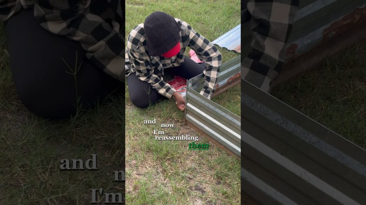 π©πΎβπΎ Gardeners, do you prefer raised beds or in ground planting? #raisedbedgarden #gardentips π©πΎβπΎ Gardeners, do you prefer raised beds or in ground planting? #raisedbedgarden #gardentips