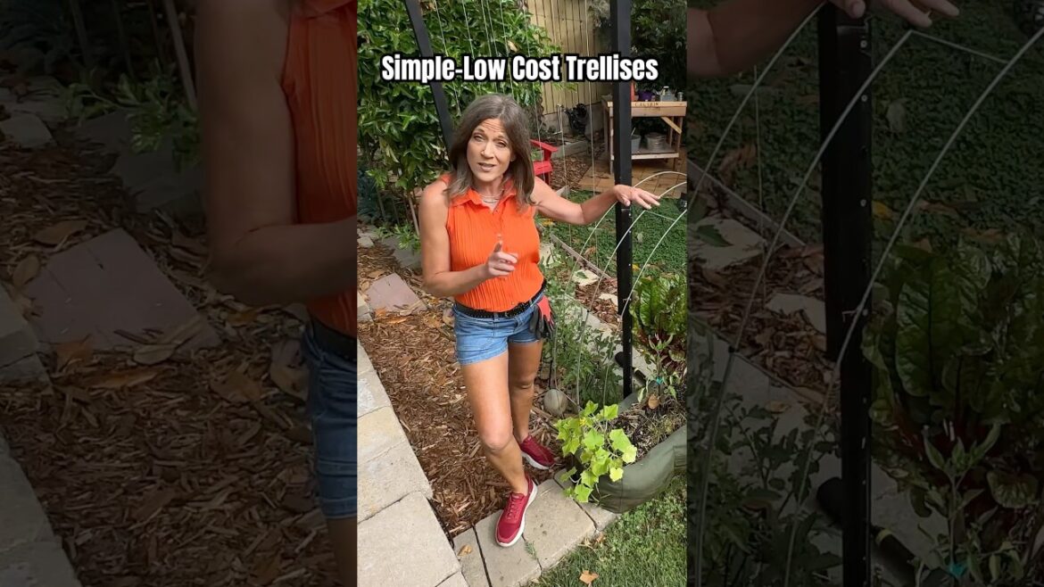 Low Cost Trellises-Hidden in Plain Sight