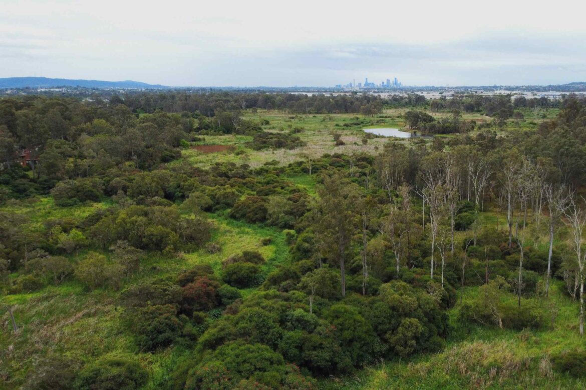 AILA Queensland Landscape Architecture Awards announced Logo