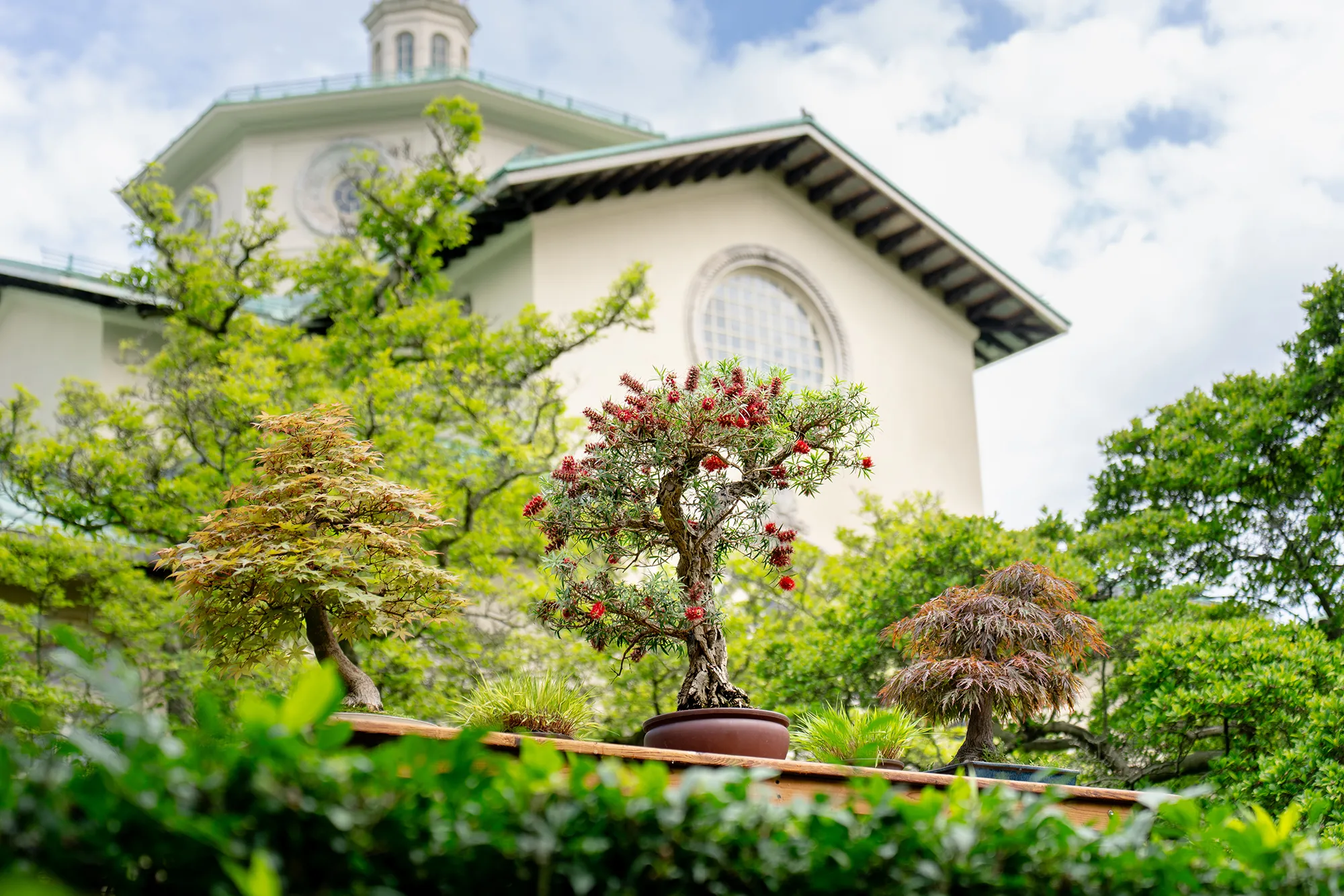 new york botanical garden