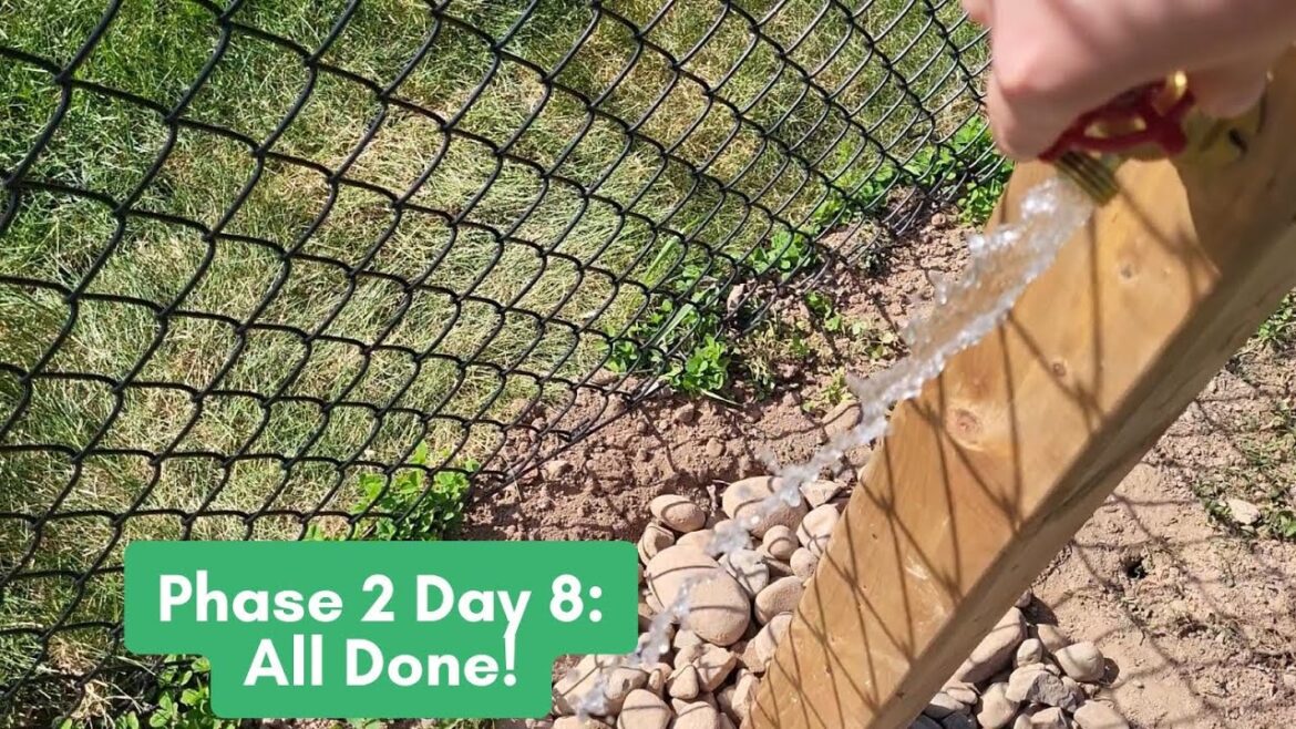 Phase 2 Day 8 It’s Done!!! Phase 2 Day 8 It's Done!!!