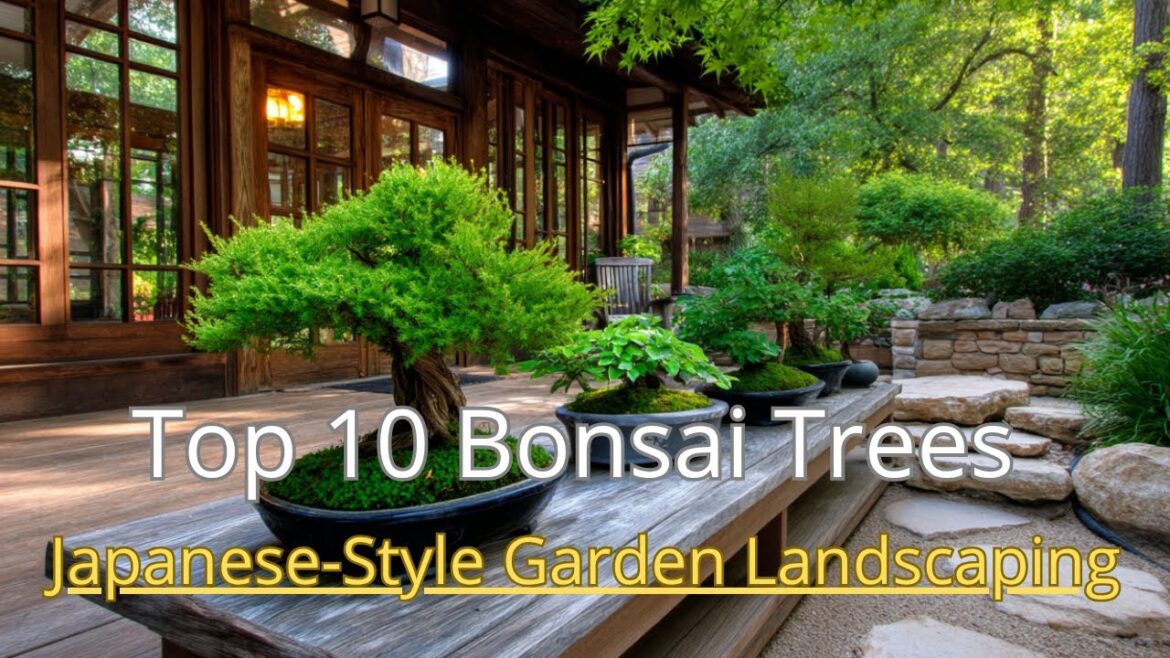 Bonsai Garden Ideas: How to Create a Peaceful Zen Space at Home Bonsai Garden Ideas: How to Create a Peaceful Zen Space at Home