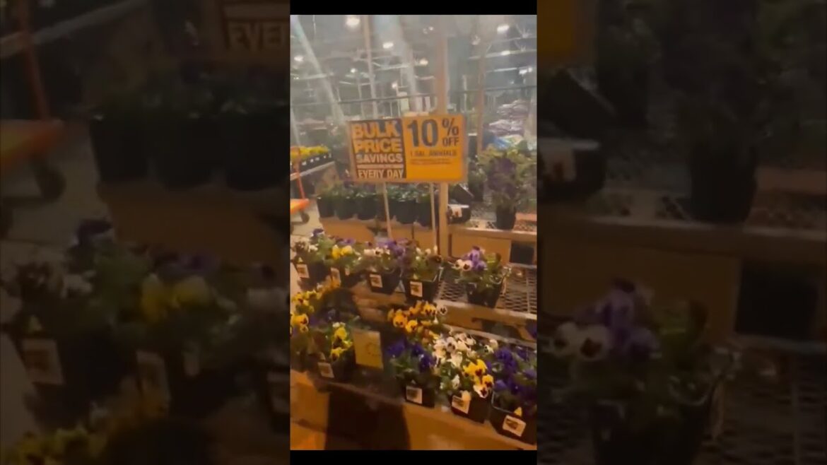 Home Depot Garden Center | Plants & Garden Supplies Market #shortsfeed #shorts #trending #homedepot Home Depot Garden Center | Plants & Garden Supplies Market #shortsfeed #shorts #trending #homedepot