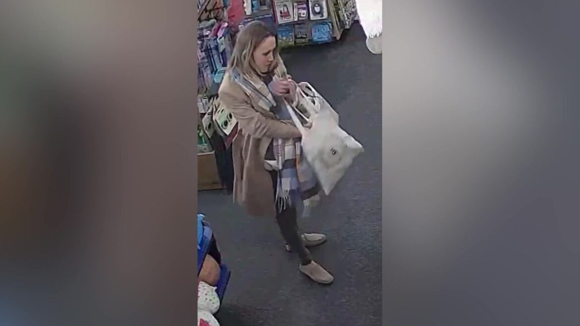 Shoplifter suspect stuffs £400 worth of Jellycats down pants at a West Midlands garden centre Video grab from CCTV footage showing a woman stealing £400 worth of Jellycat's by stuffing them down her trousers.