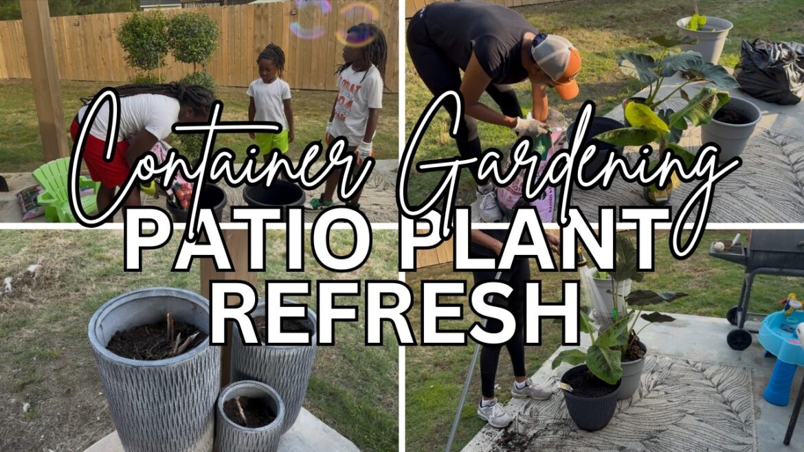 Transforming Our Patio with DIY Container Gardening
