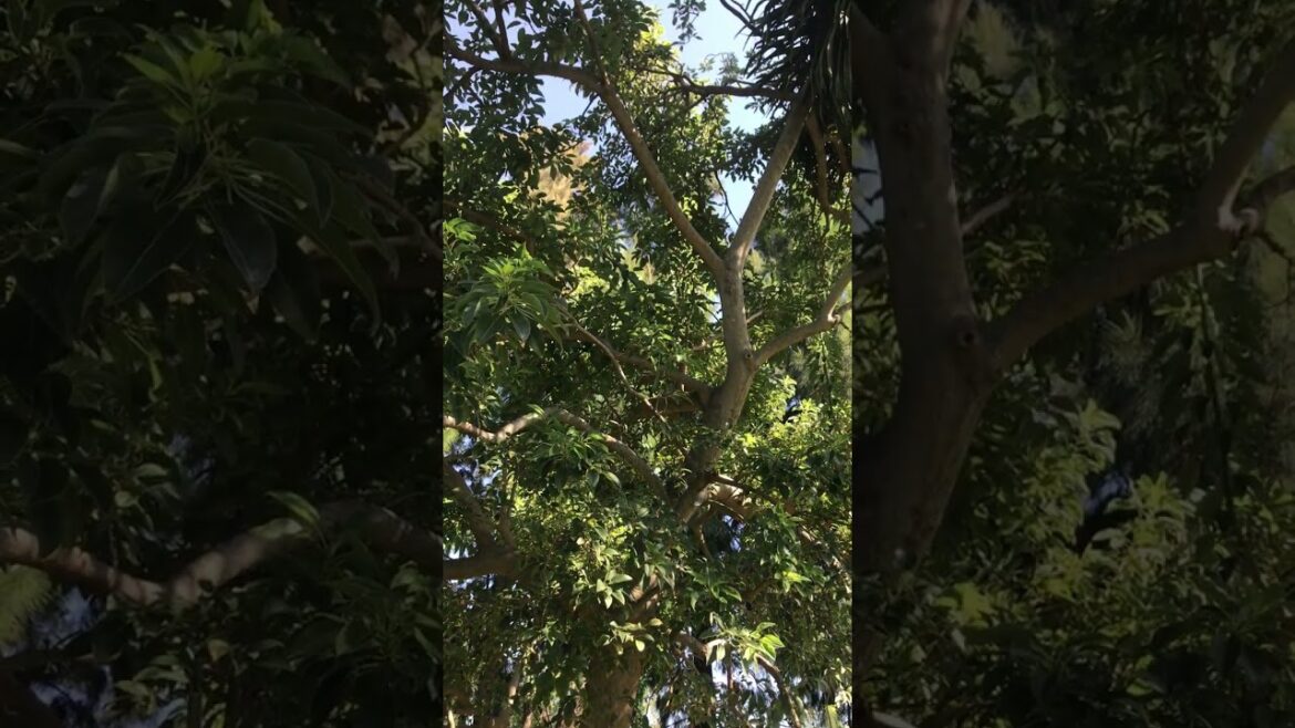 #LAWNMANAGEMENT 5 GARDENING TRENDS TO HELP YOU CHOOSE THE RIGHT PLANTS FOR 2025