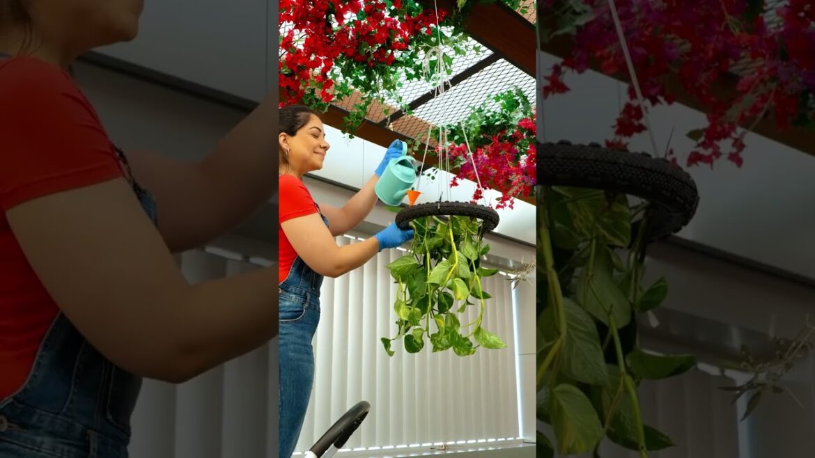 Amazing Garden Design Ideas 🤩 Amazing Garden Design Ideas 🤩