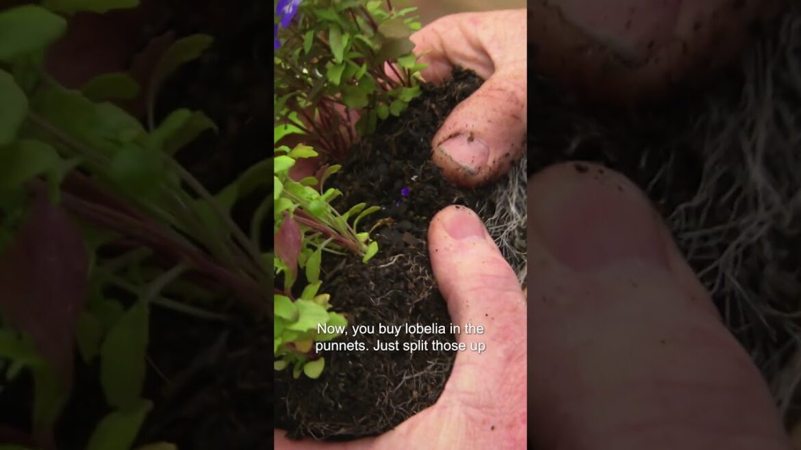 This Vertical Herb Garden Is Perfect For Renters #gardening #tips #greathomeideas This Vertical Herb Garden Is Perfect For Renters #gardening #tips #greathomeideas