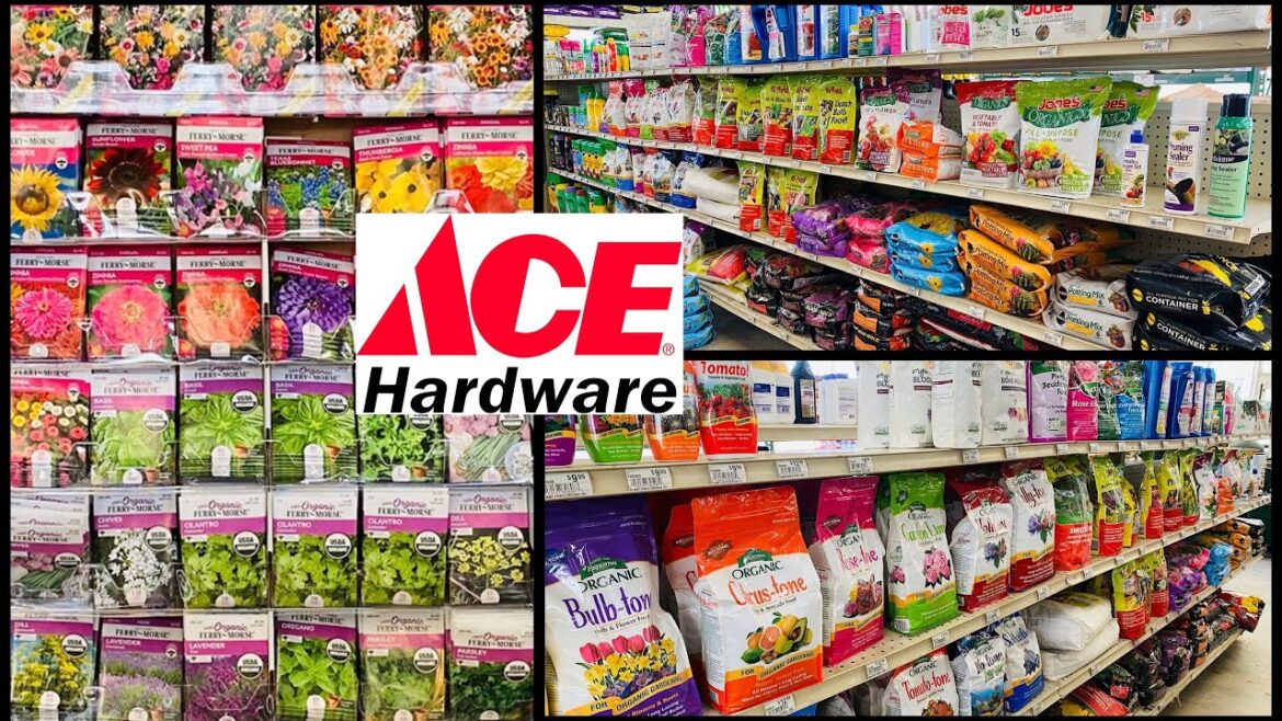 ACE Gardening Flower Vegetables Herbs Fruit Seeds | Fertilizer | Planter ACE Gardening Flower Vegetables Herbs Fruit Seeds | Fertilizer | Planter