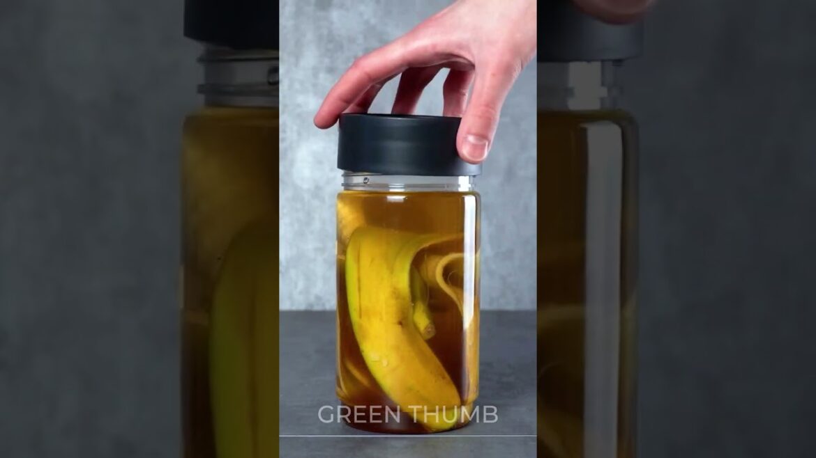 Unbelievable DIY Indoor Garden Ideas for Beginners