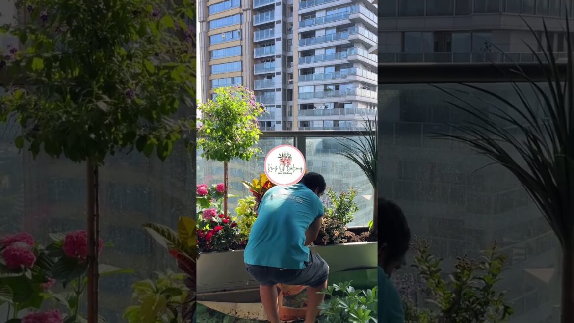 My Calm Escape Above the City – Balcony Garden with a Modern Touch 🌿✨