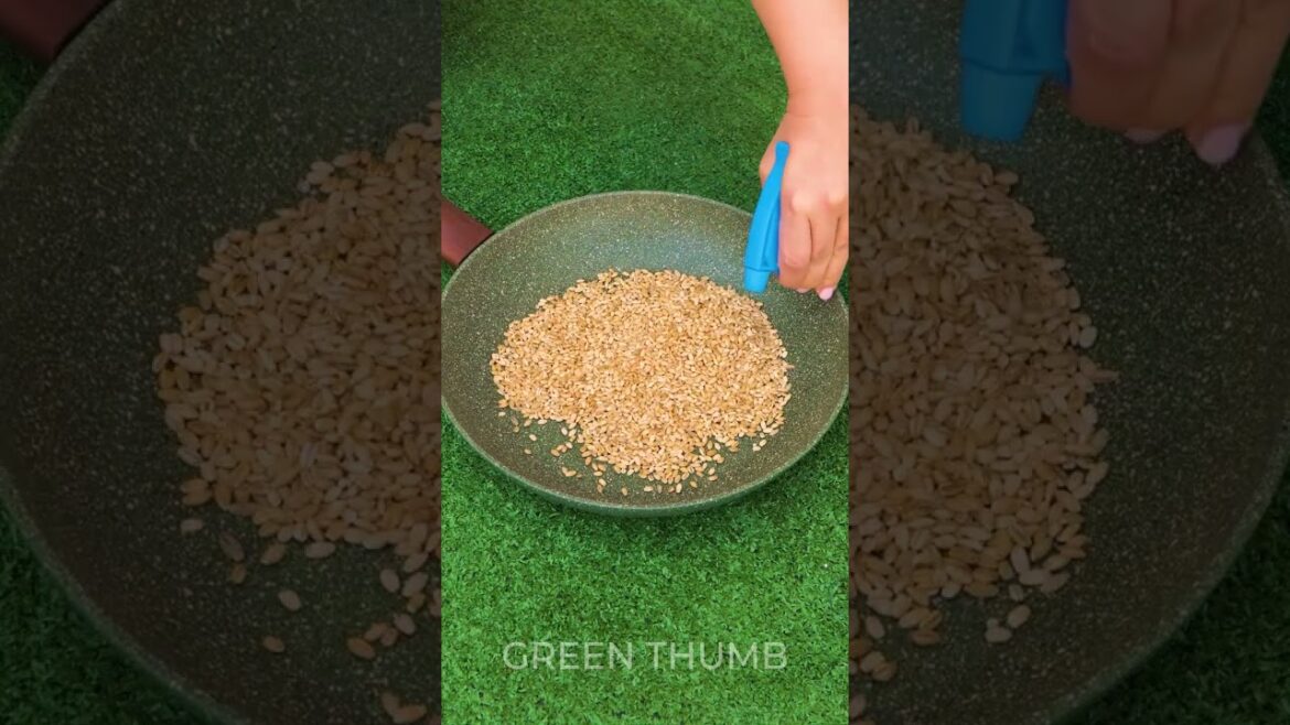 Unusual Gardening Tips for Growing Rare and Exotic Plants Unusual Gardening Tips for Growing Rare and Exotic Plants
