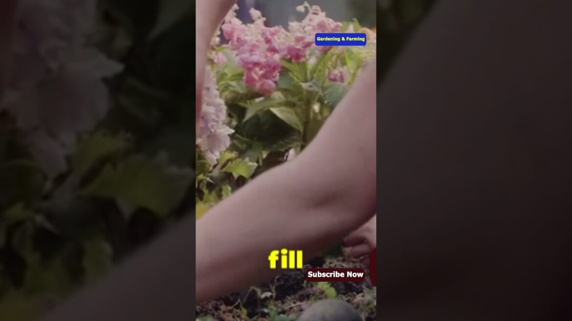 Expert Gardener Reveals TOP Home Gardening Hacks #shorts #shortsfeed