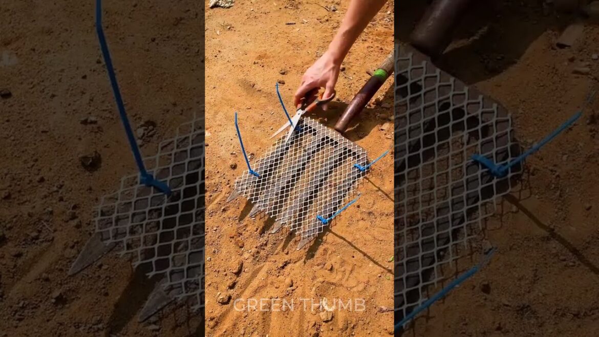 Boost Your Dream Garden with These Unbelievable Planting Tips!