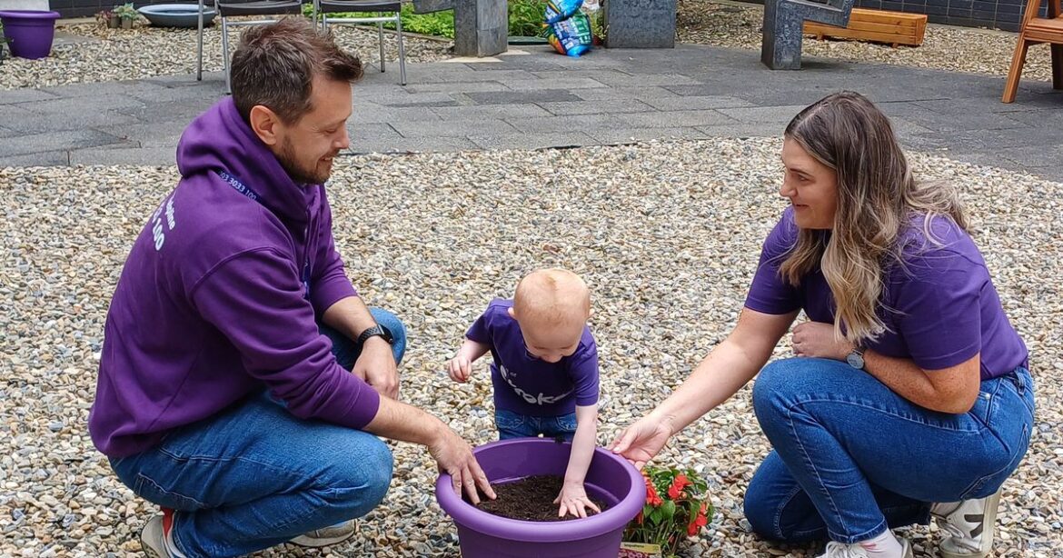 Co Derry stroke survivor on how gardening has ‘important life lessons for us all’ Ipso logo