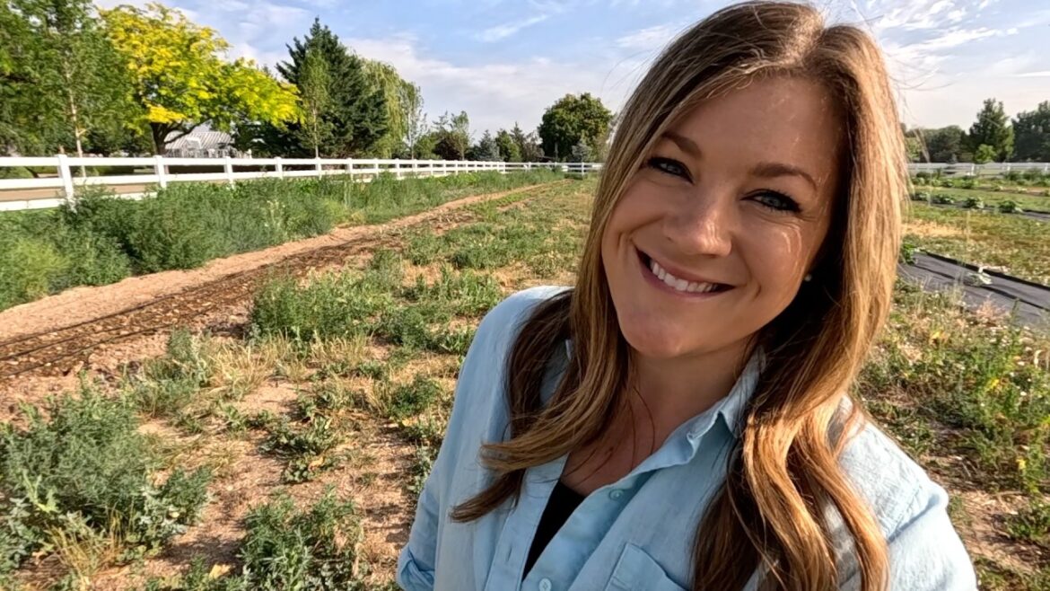 Planting Zinnia Seeds, Sun-Loving Perennials & Cutting Back Salvia! 🌸☀️✂️ // Garden Answer
