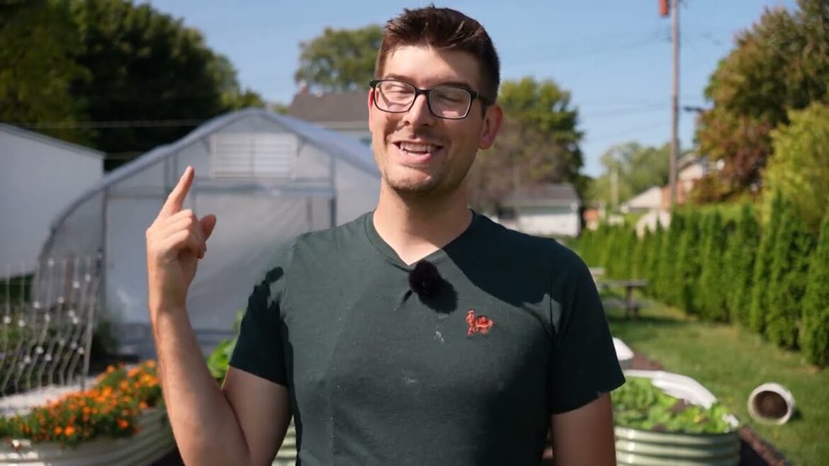 Pro Grow Tips For Growing Amazing Blueberries In Ground