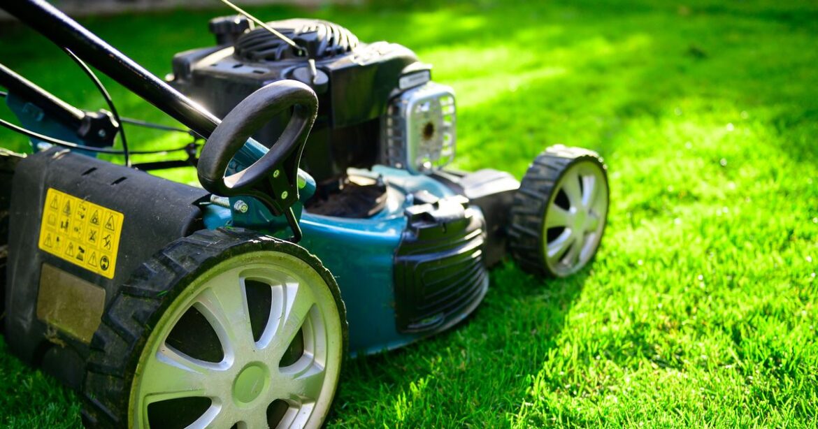 King Charles’ ex gardener warns against mowing lawn this weekend trust project logo