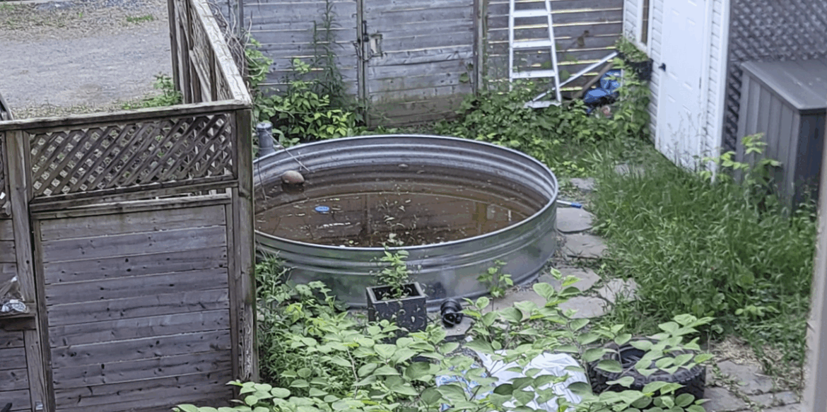 State of garden shamed as pictures and horrifying story shared online State of garden shamed as pictures and horrifying story shared online